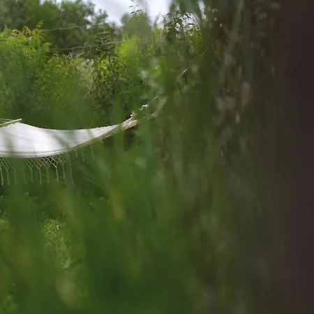 Ablak A Hegyre Vendeghaz بيت ضيافة 3*