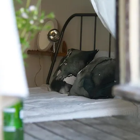 Gasthuis Ablak A Hegyre Vendeghaz