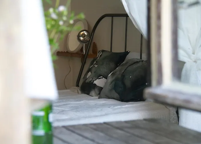 Gasthuis Ablak A Hegyre Vendeghaz